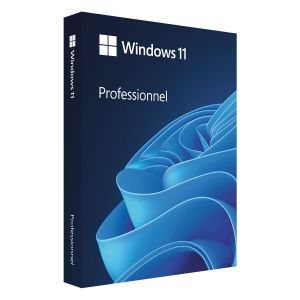 Microsoft Windows 11 Professional 64-bit, OEM DVD, Single Copy